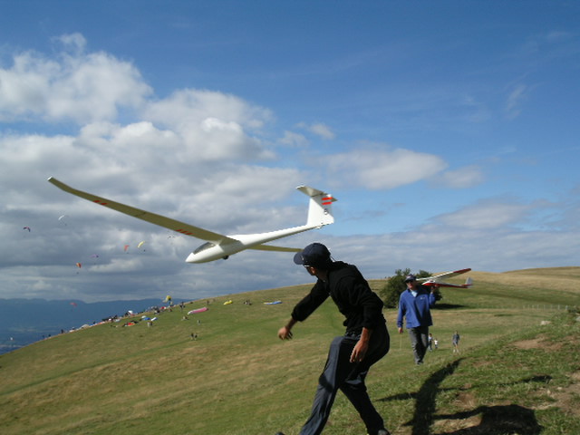 484.jpg