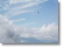 747.jpg